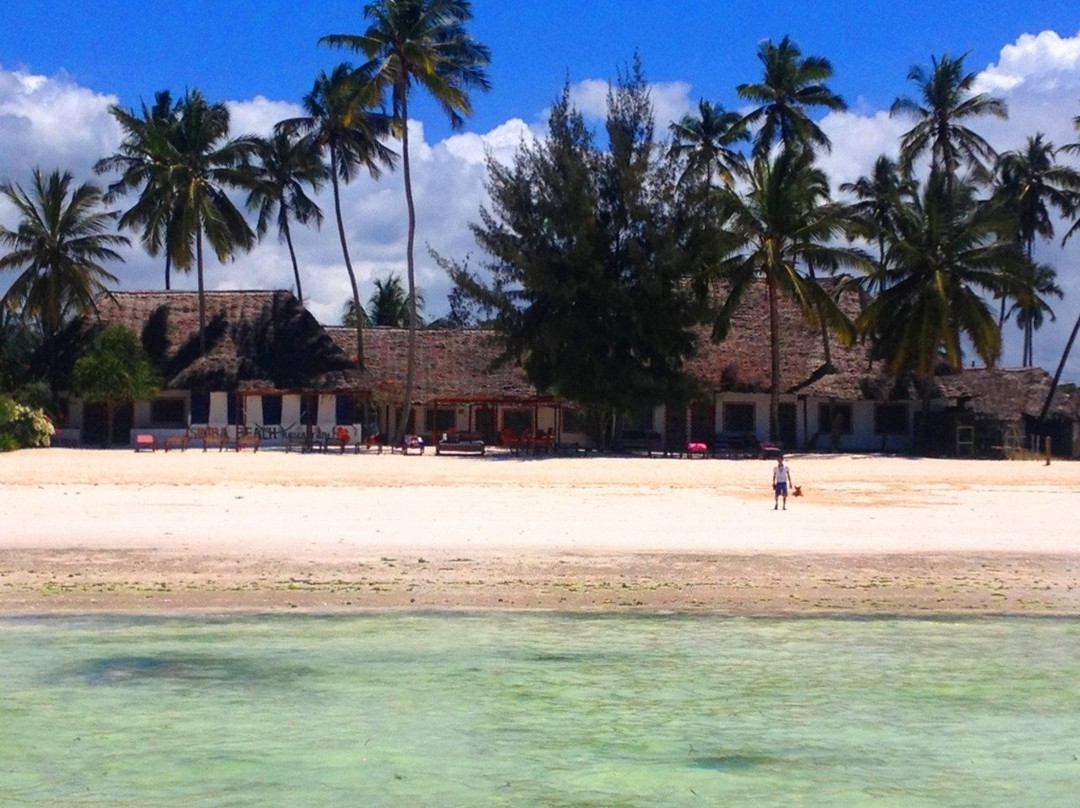 Simba Beach Zanzibar