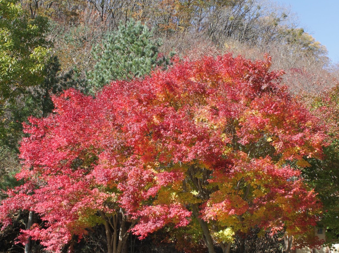 Jeoksangsanseong Fortress
