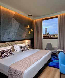 亚米利亚酒店酒店图片