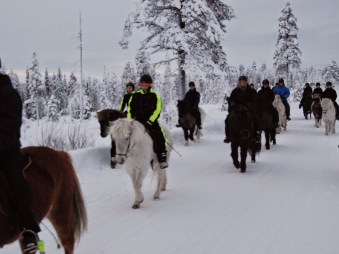 Galgbackens Islandshästar-Gallivare必去景点