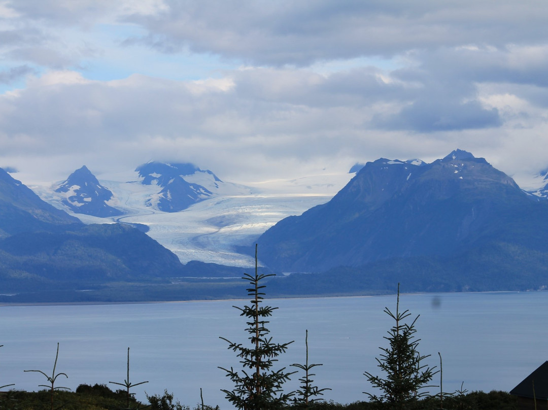 Nikolaevsk酒店住宿-Homer Sportsman's Retreat