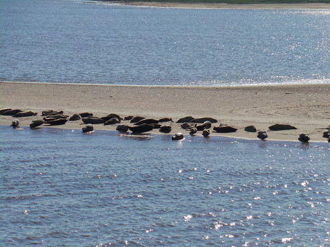 Baltrum Linie-Baltrum必去景点