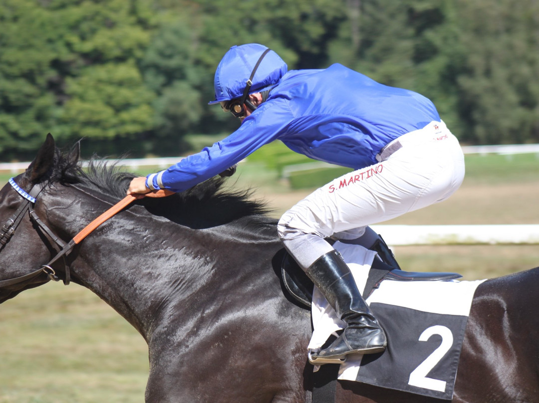 Pompadour Racecourse (Hippodrome de Pompadour)景点图片