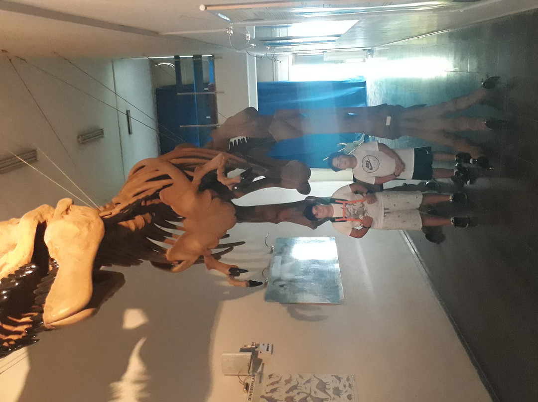 Natural History Museum景点图片