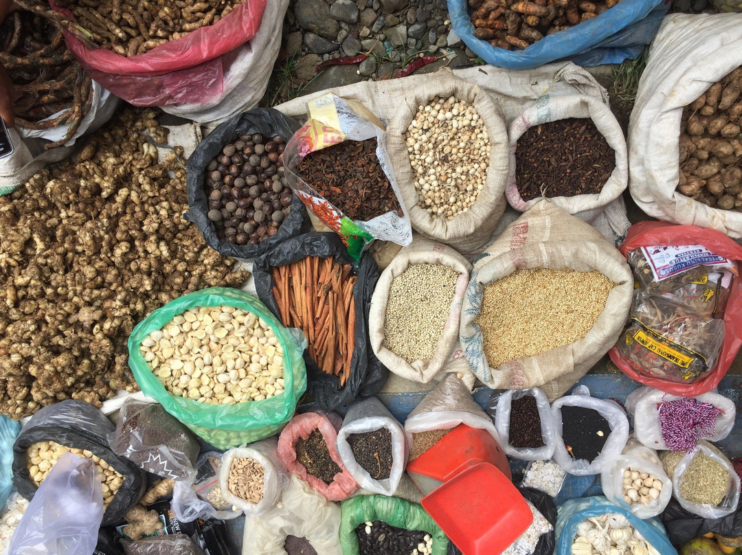 Bukit Lawang Friday Market-武吉拉旺必去景点