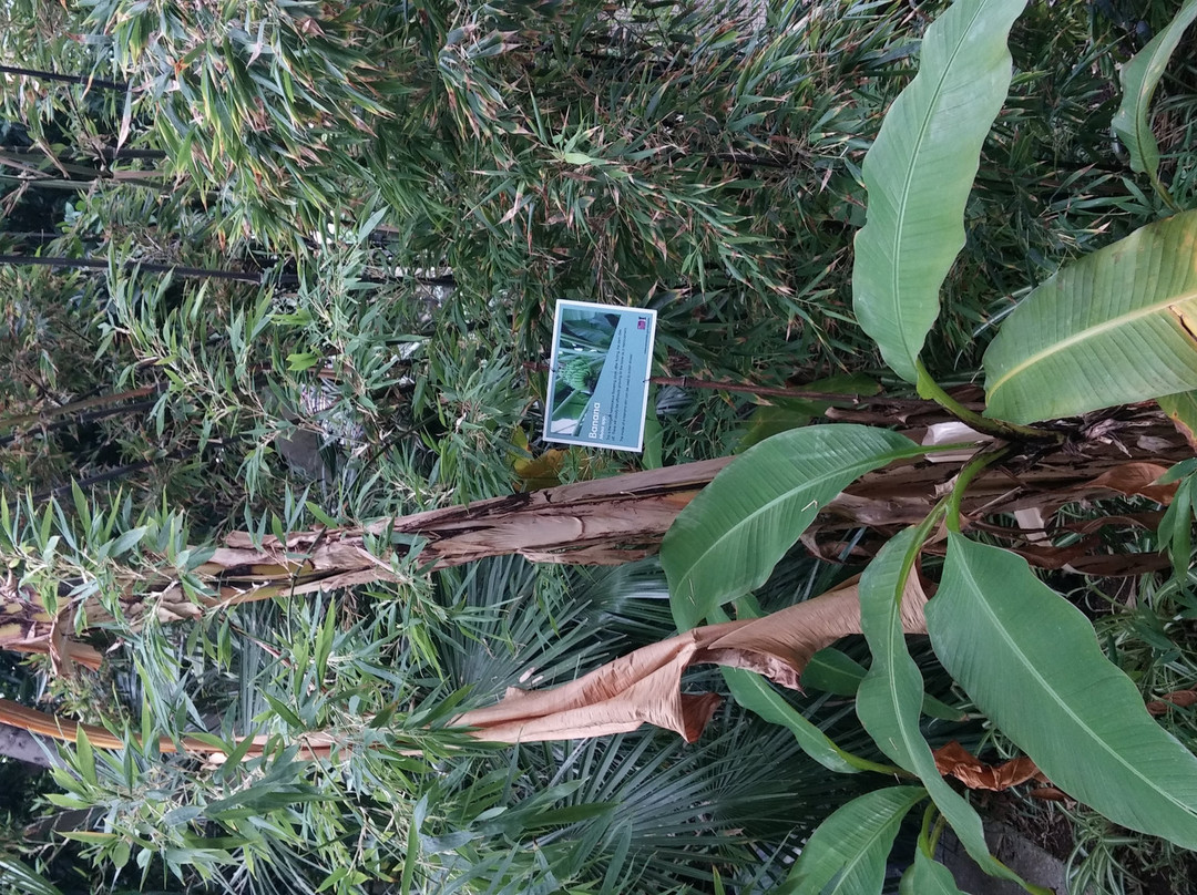 Jephsons Glasshouse-皇家利明顿温泉必去景点
