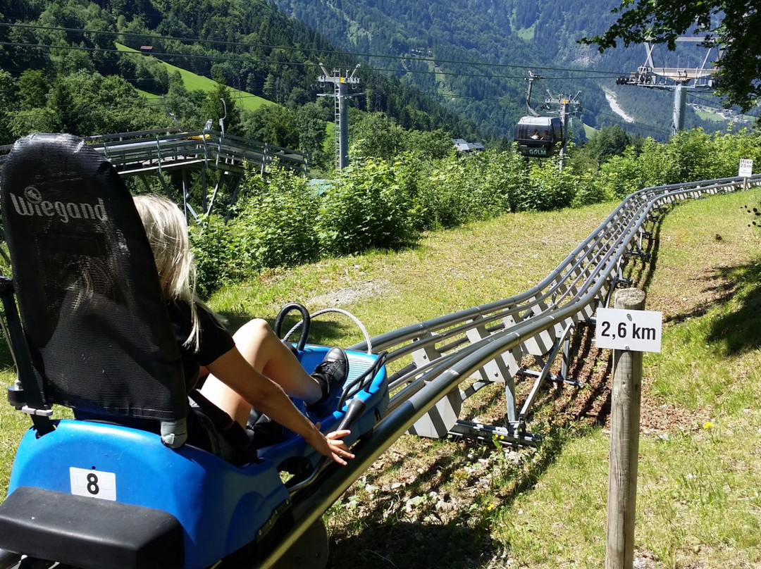 Alpine-Coaster-Golm景点图片