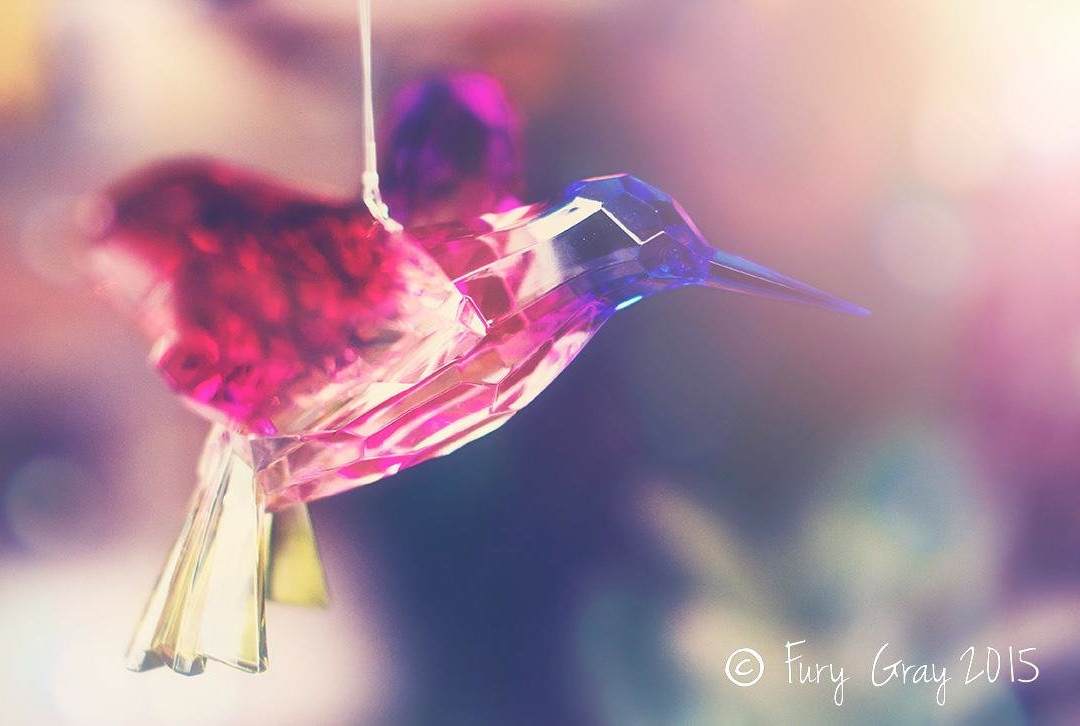 Papilio of Mount Dora-Mount Dora必去景点