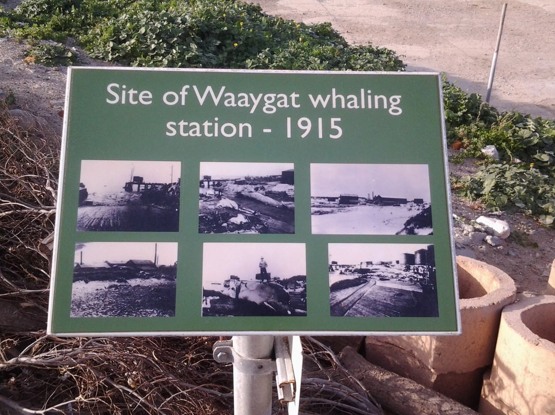 Old Whaling Station-Betty's Bay必去景点