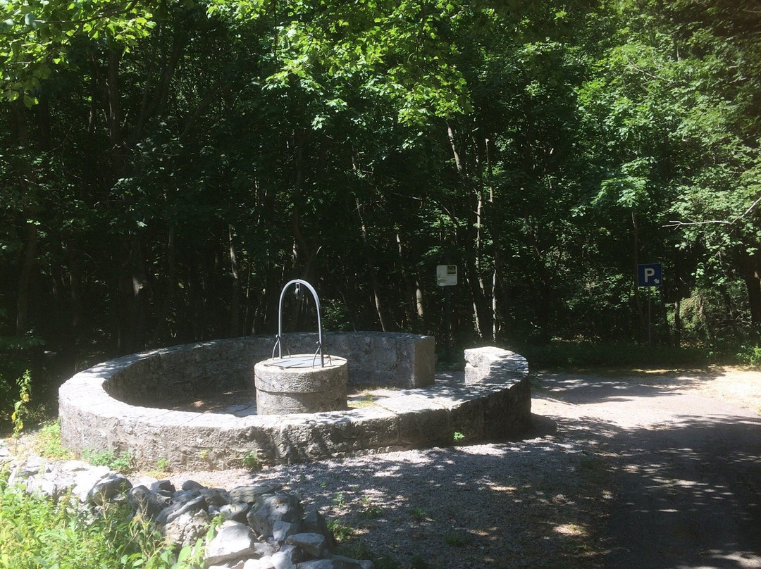 Glass Chapel景点图片