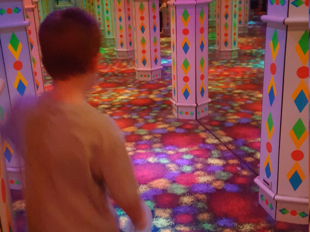 Amazing Mirror Maze-布卢明顿必去景点