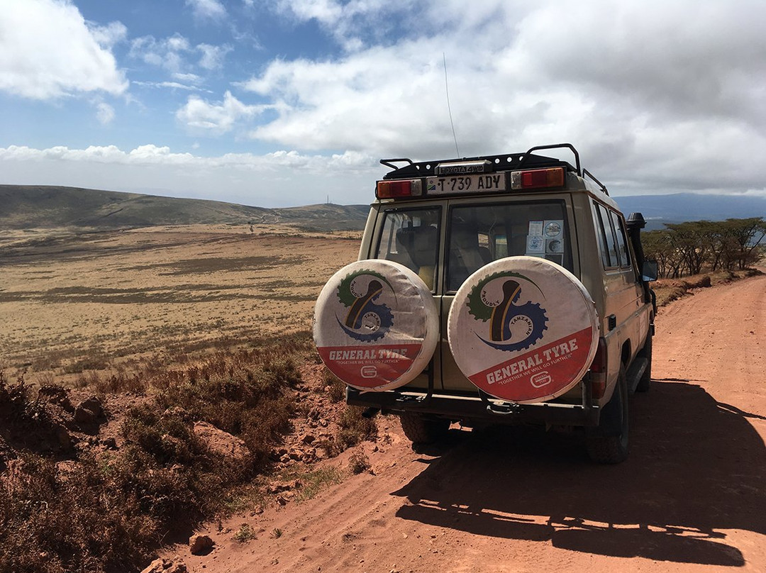 It Started in Africa-阿鲁沙必去景点