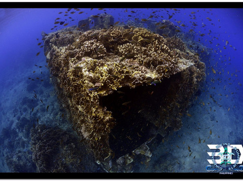 3D Diving Sipalay-Cauayan必去景点