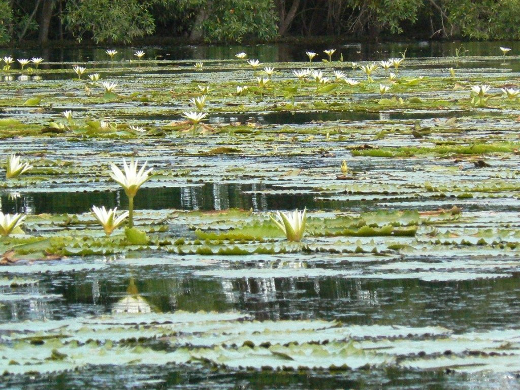 Cardy Adventures & Bike Rental-帕拉马里博必去景点