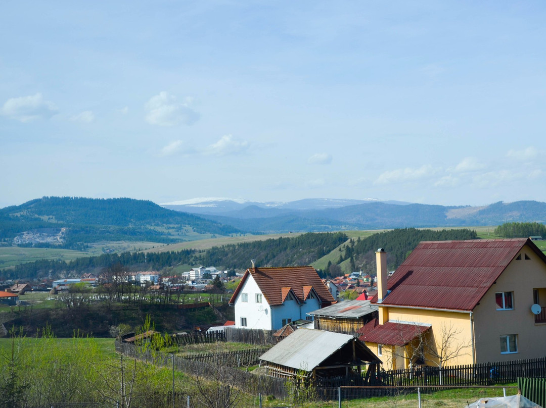 Pensiunea Banffy主图