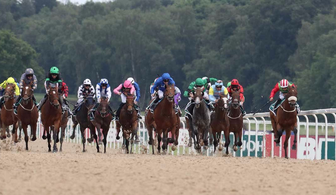 Newcastle Racecourse景点图片