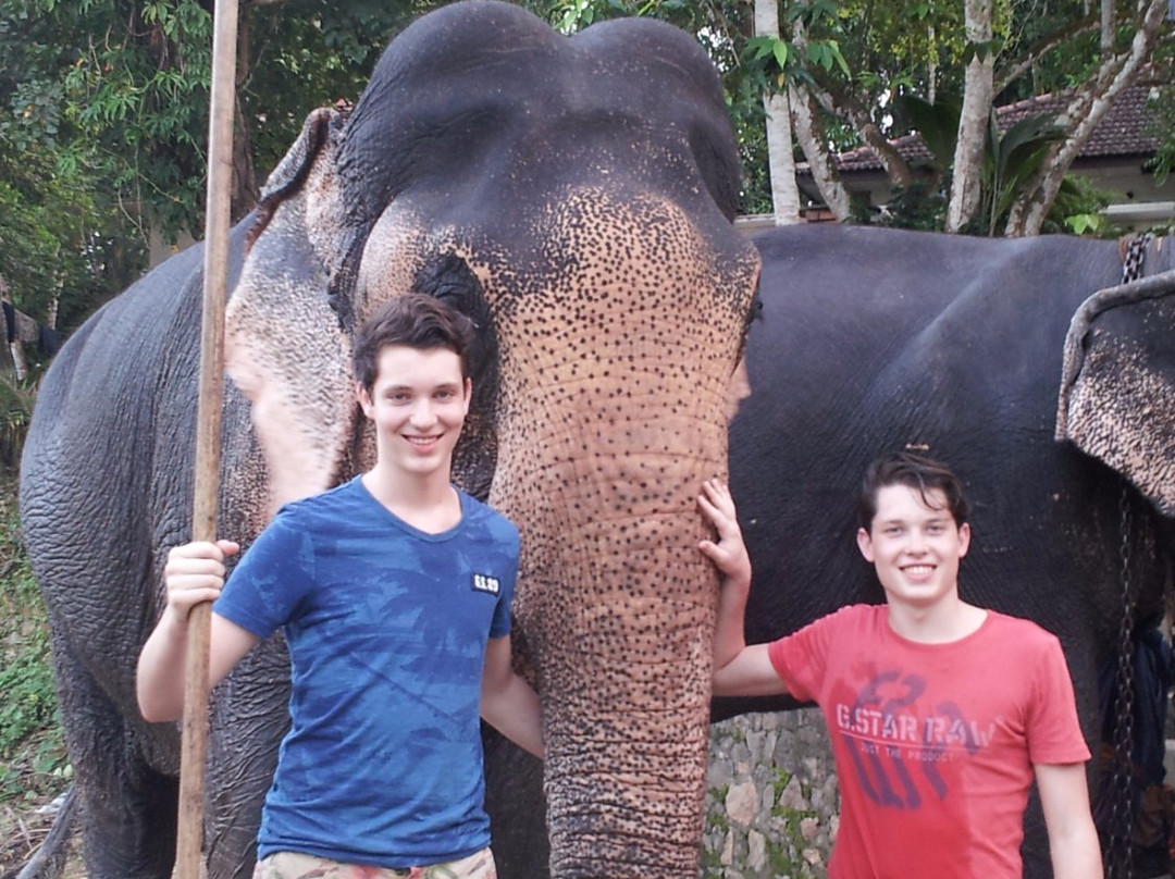 Friends Private Tours-加勒必去景点