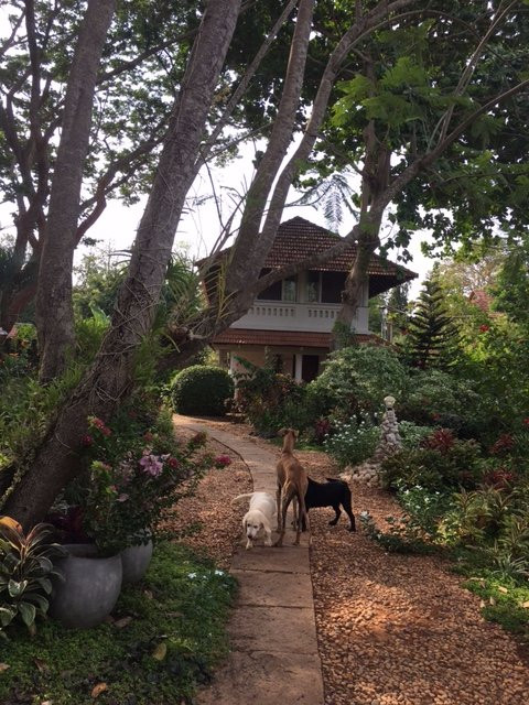 Gaia's Garden Guest House主图