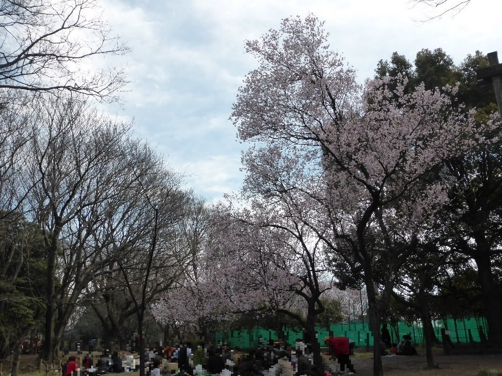 Komabano Park-目黒区必去景点