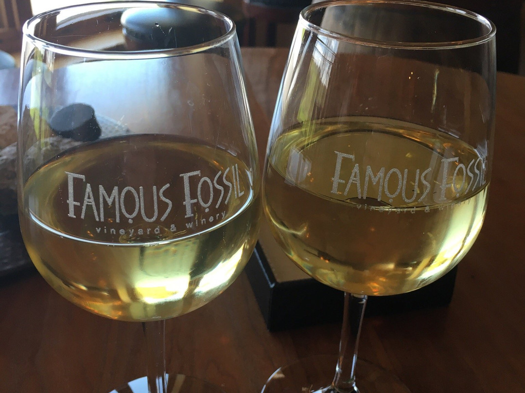 Famous Fossil Winery-弗里波特必去景点