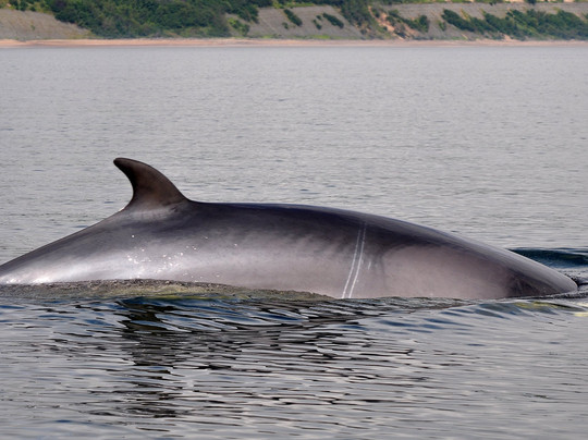 Meriscope-Portneuf-sur-Mer必去景点