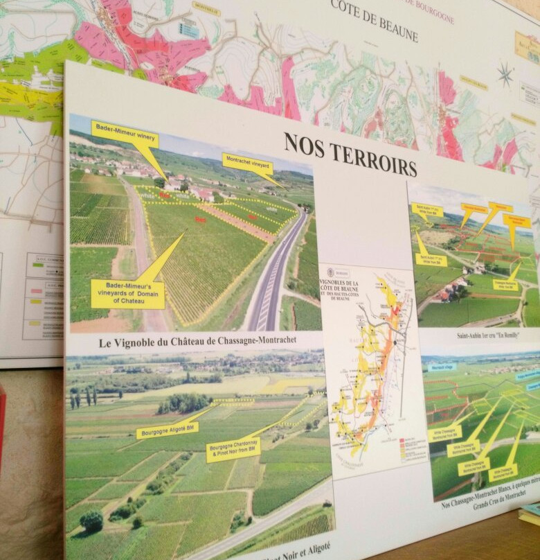 Domaine Bader-Mimeur-Chassagne-Montrachet必去景点