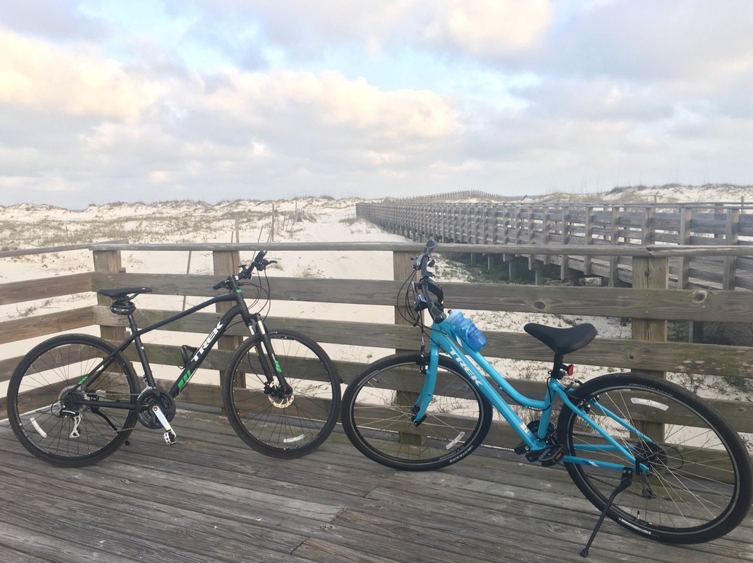 Infinity Bicycles-橙色海湾必去景点