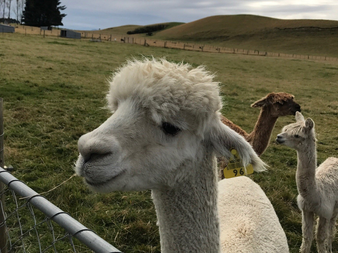 Stonehenge Farm Tours-蒂阿瑙必去景点