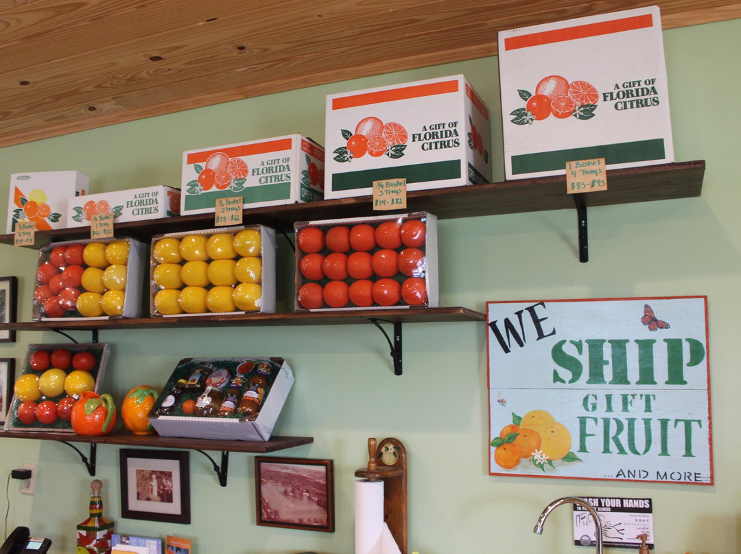 Schacht Groves-维罗海滩必去景点