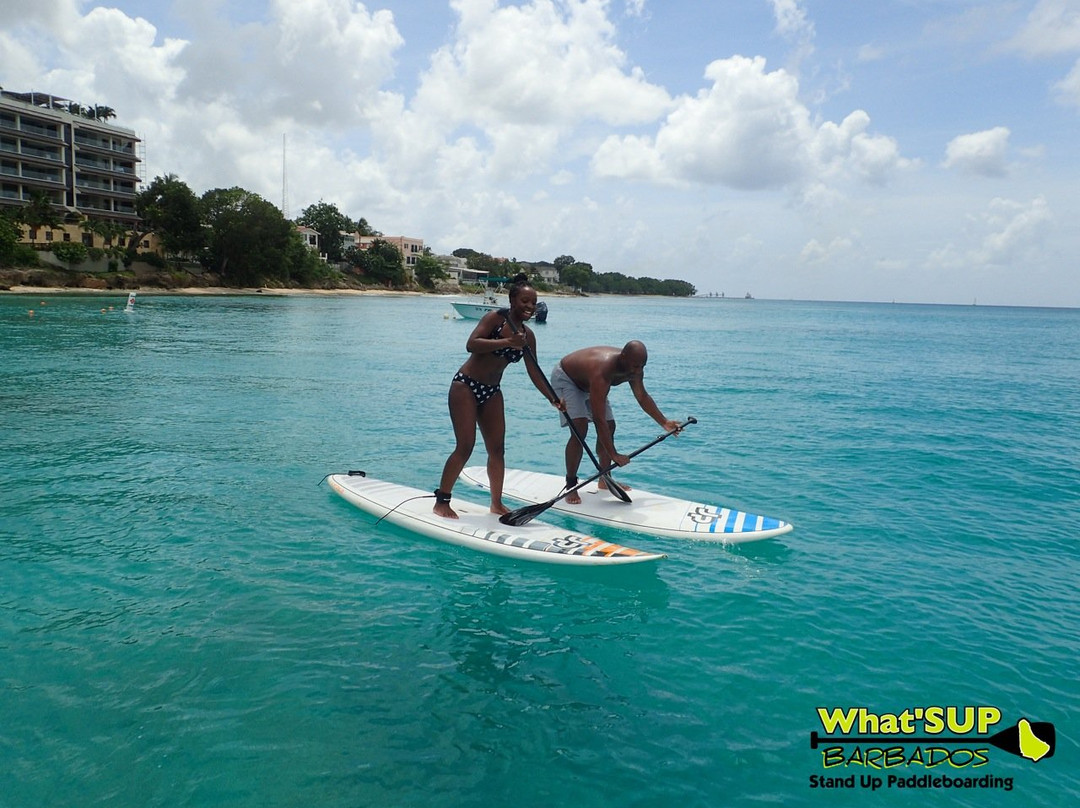 What' SUP Barbados-布里奇顿必去景点