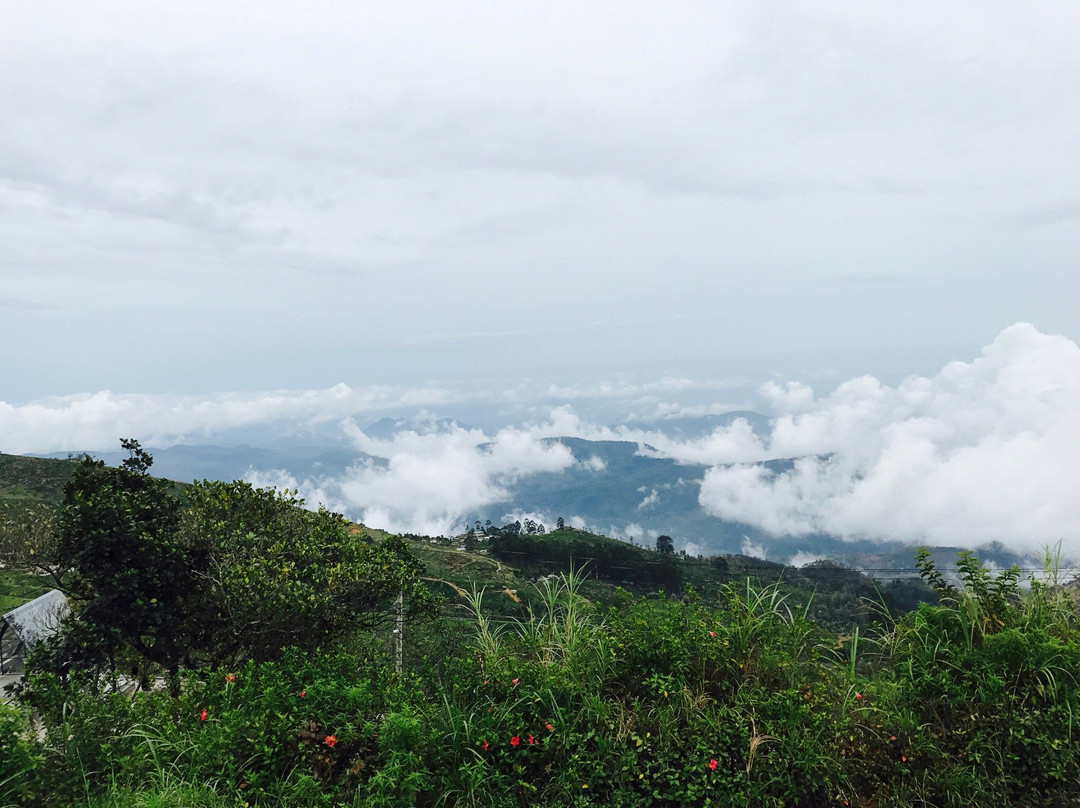 Finecare Tours Pvt Ltd-尼甘布必去景点