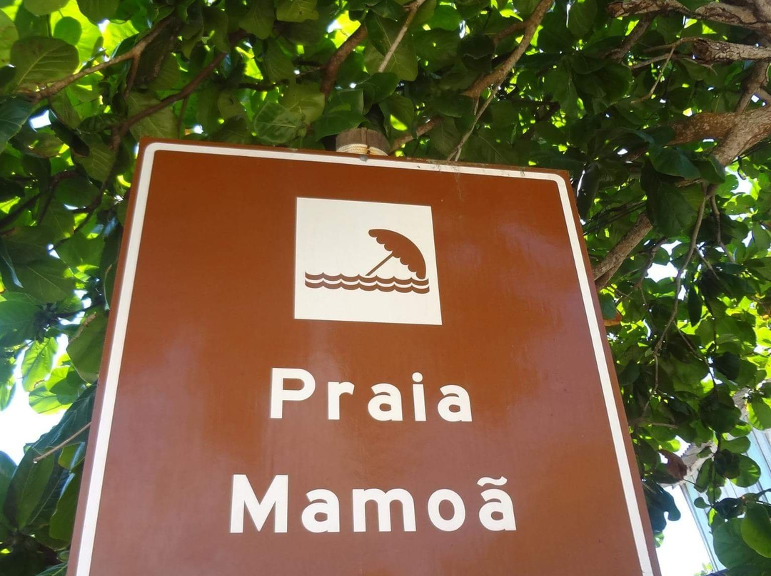 Praia De Mamoan-Ilheus必去景点
