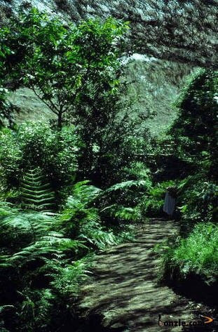 Lake Burrendong State Park-Mumbil必去景点