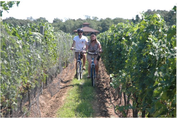 East End Bike Tours-Mattituck必去景点