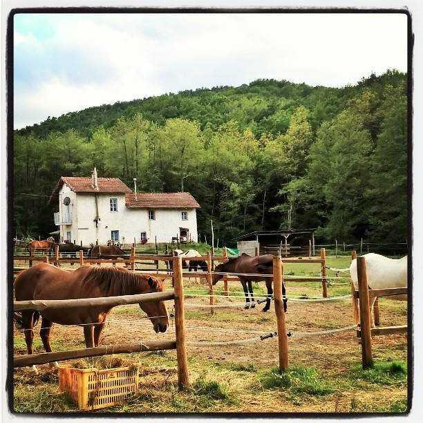 Rio Selvatico Ranch-Dego必去景点