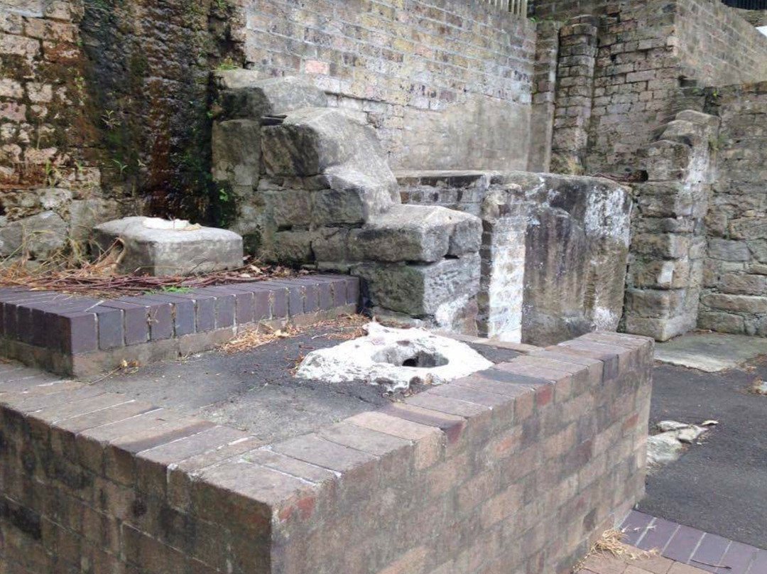 Foundation Park-悉尼必去景点