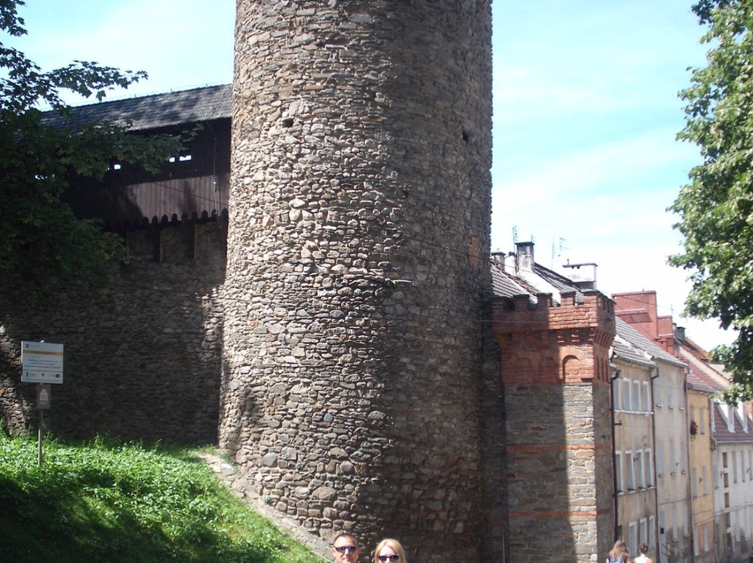 Defensive City Walls景点图片