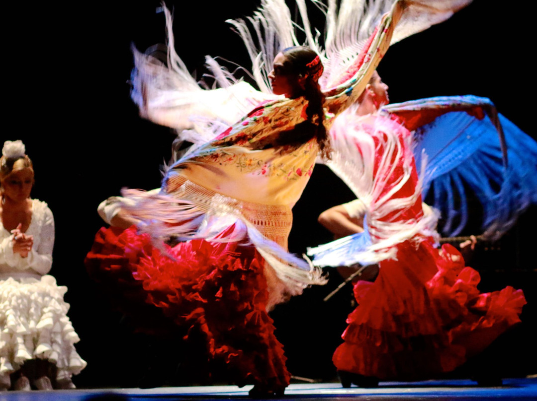 GranGala Flamenco景点图片