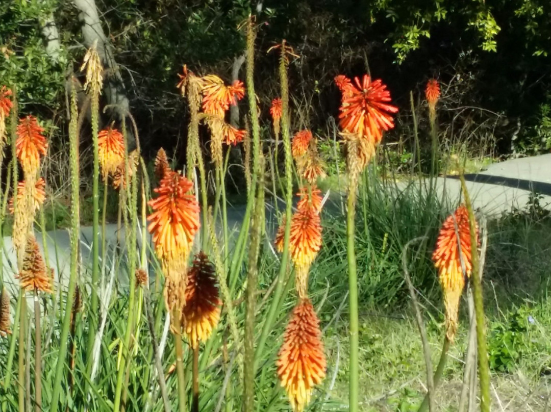 Alum Rock Park-圣何塞必去景点