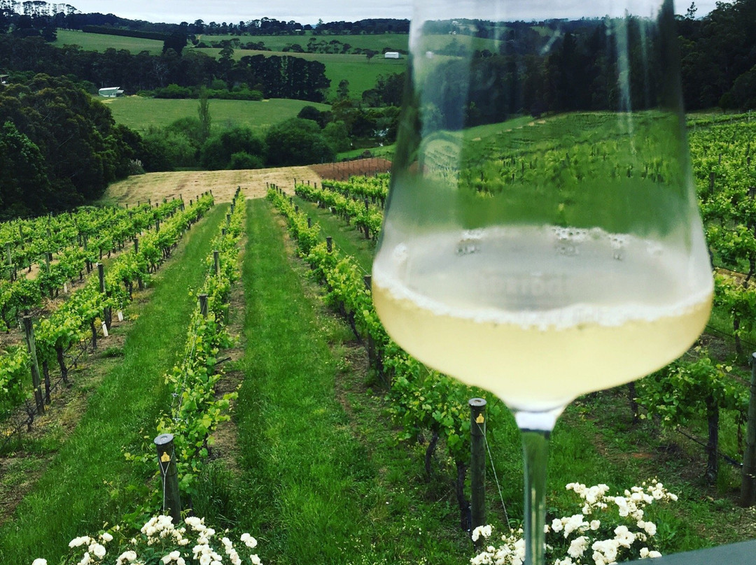Estate Wine Tours景点图片