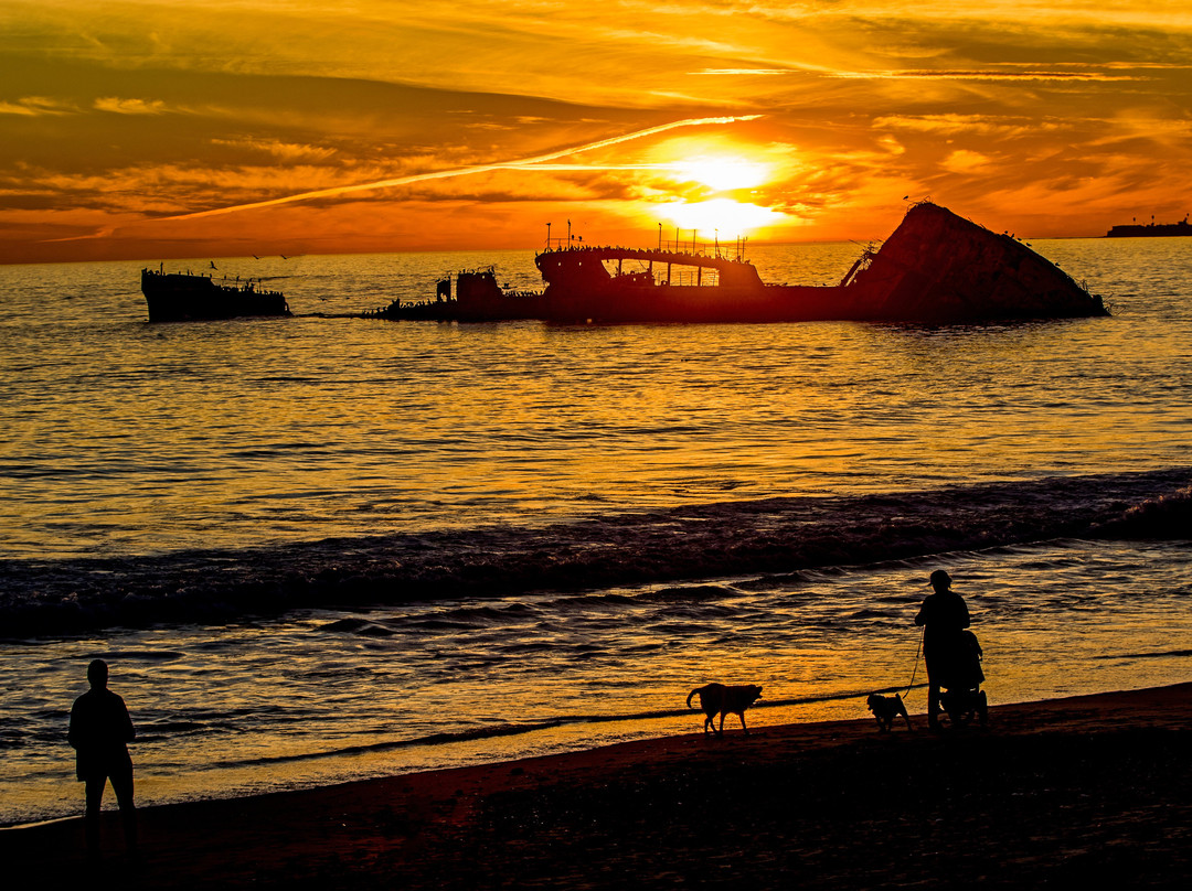 S.S. Palo Alto Concrete Ship-阿普托斯必去景点