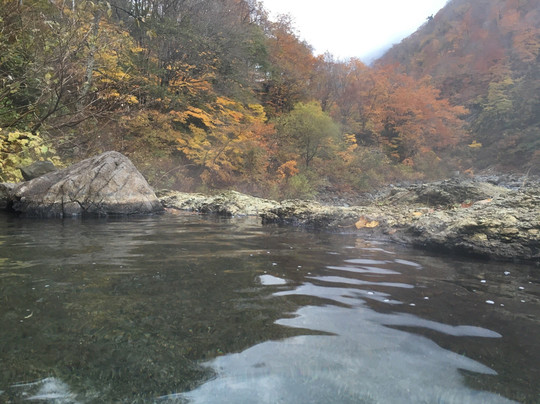 Akiyamago Yusenkaku主图