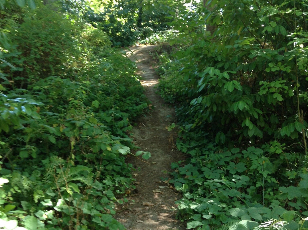 McMinnville City Park景点图片