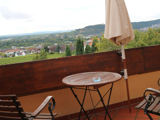 Weingut Magdalenenhof-吕德斯海姆必去景点