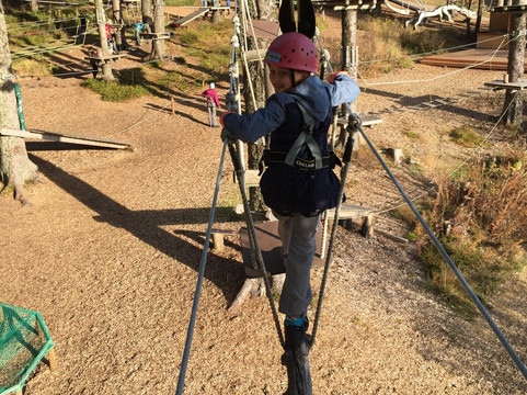 Kletterwald Feldberg-菲尔德山必去景点