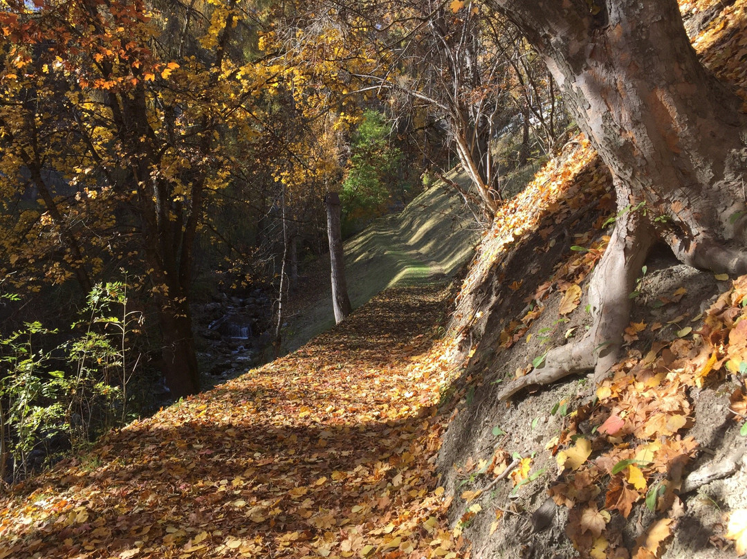 Not Vital + Parkin Sent