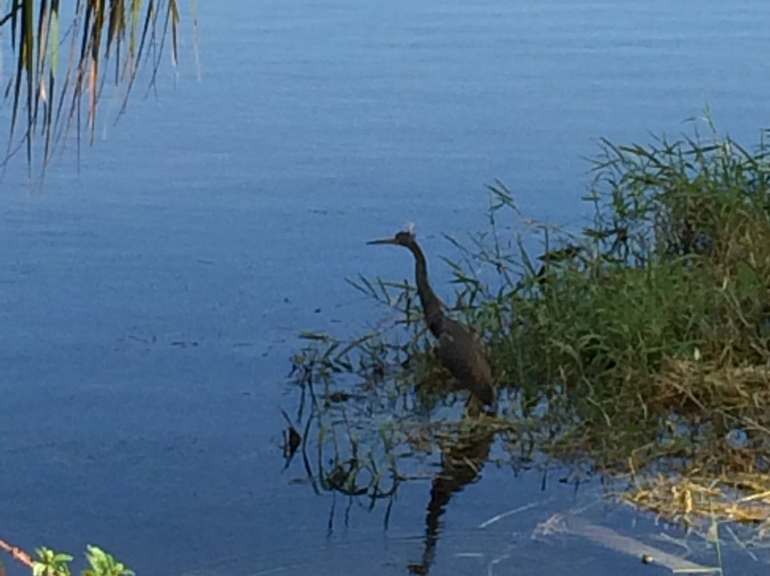 Lake Osborne-莱克沃思必去景点