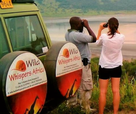 Wild Whispers Africa景点图片