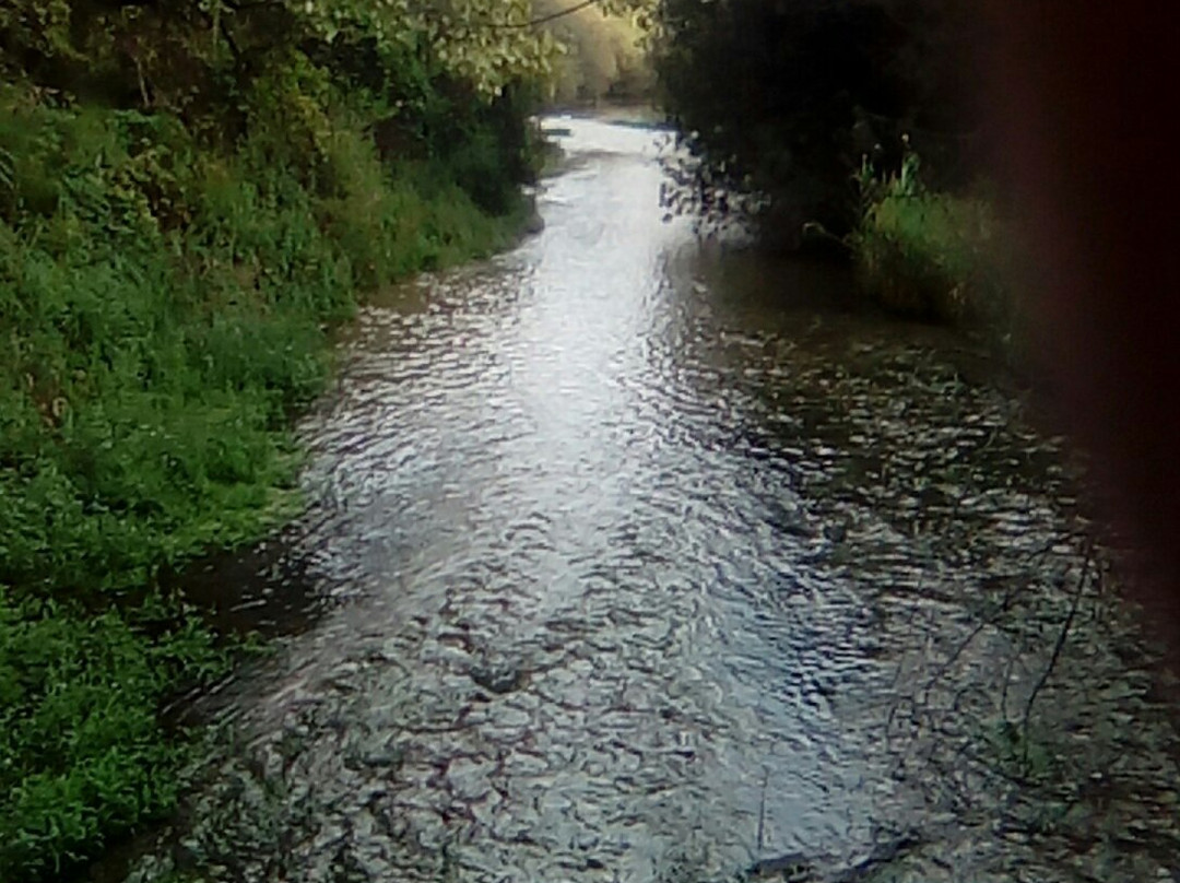 Parco Palude di Onara景点图片