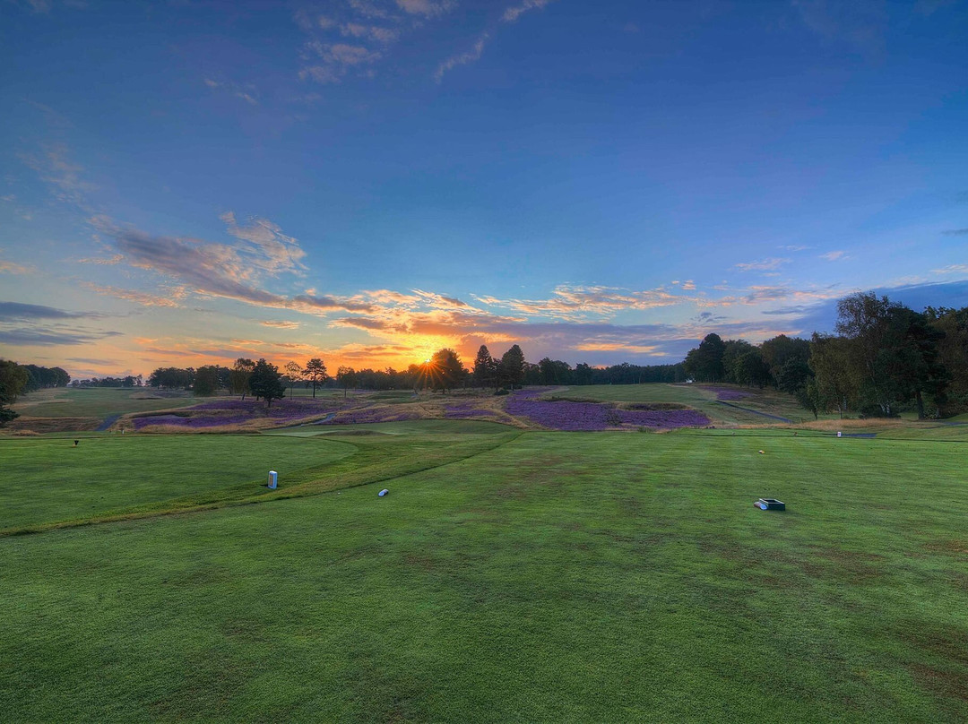 Sherwood Forest Golf Club景点图片